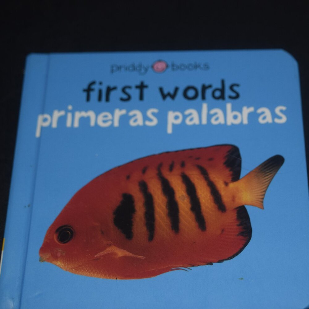 First Words (Bilingual Bright Baby) / Primeras Palabras (Bebe Listo)